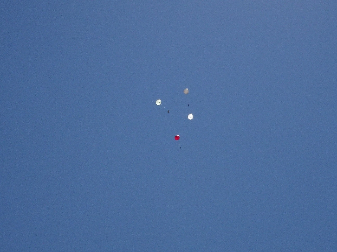 Luftballons1