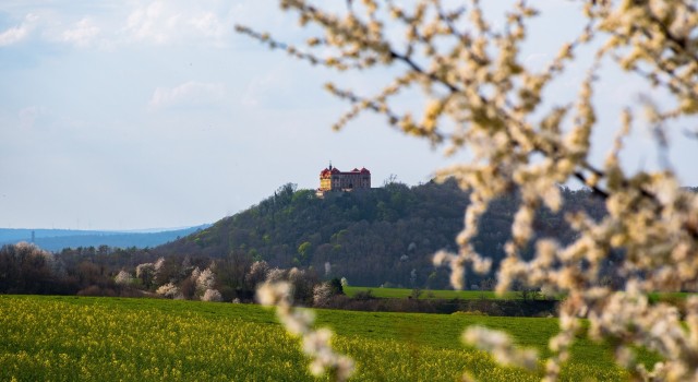 Schloss Bieberstein