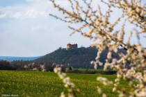 02_Schloss_Bieberstein