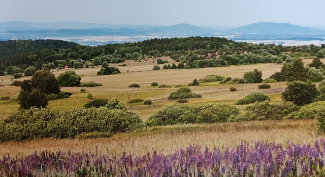 Wanderung rund um die Würzburger Bergbundhütte 