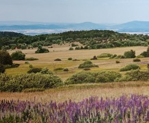 Wanderung rund um die Würzburger Bergbundhütte 