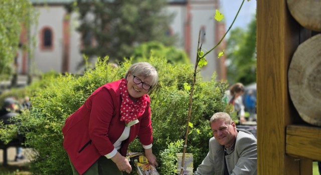 Centmarkt 17.05.2026