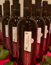 Offizieller Partnerschafts Wein Vino del Gemellaggio