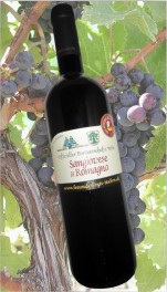 Offizieller Partnerschafts Wein Vino del Gemellaggio